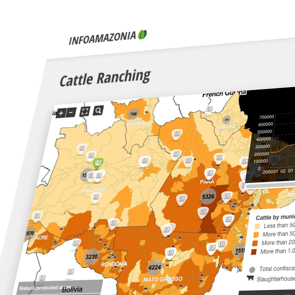 Infoamazonia cattle ranching